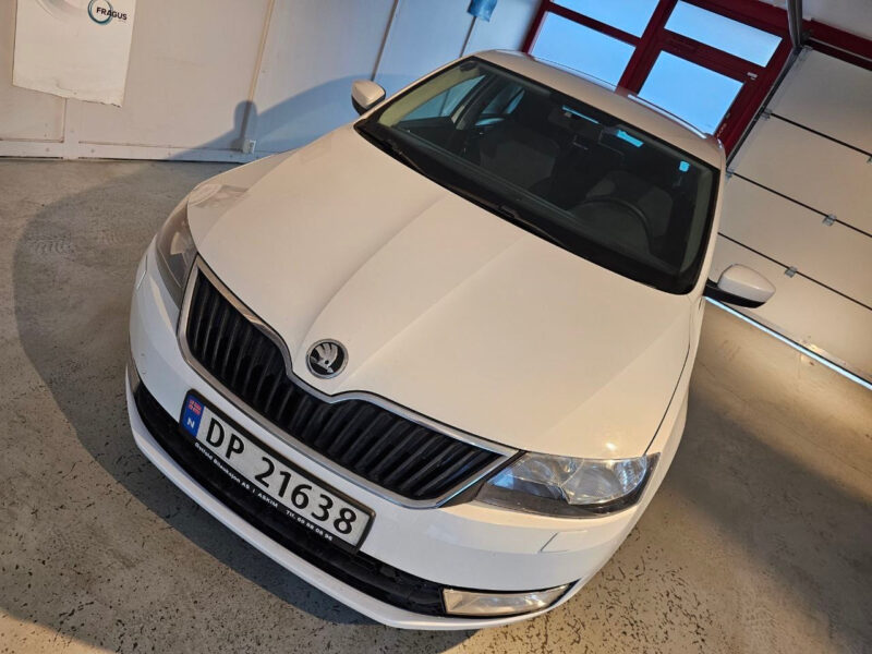 Skoda Rapid 2013